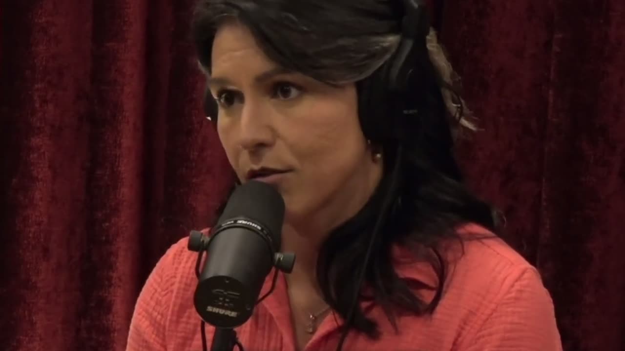 Tulsi Gabbard Unveils the Disturbing Truth About the TikTok Ban