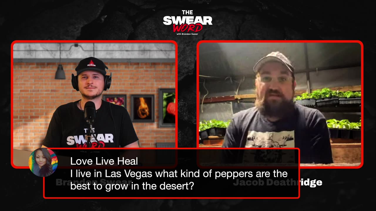 TSW: Ep 26 | Guest: Jacob Deathridge of Deathridge’s Peppers | Hot or Not: Maestros’ Sauce Co.