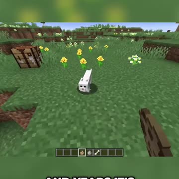 The Rise of Dogs in Minecraft: A New Era of Superiority
