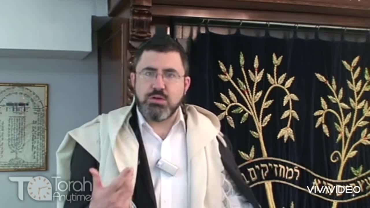 Melabain - What's the Halacha on using a lint brush or similar brushes? Video #40