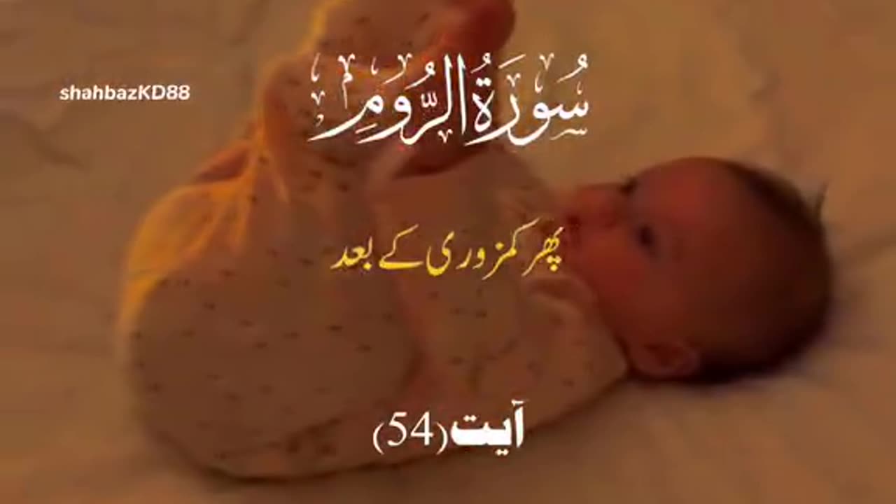 Quran Translation in Urdu #viral #shorts