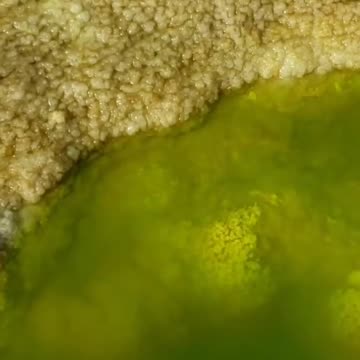 Unique Acid Lake in the Dallol Crater in Ethiopia #naturalbeauty
