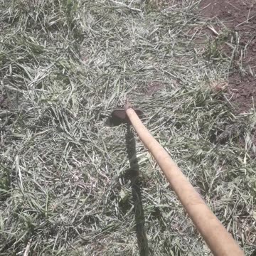 Daily work of a gardener