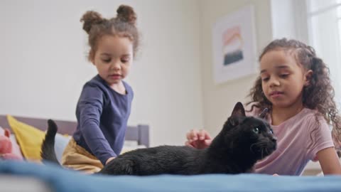 Kittens & Kids: The Cutest Comedy Duo