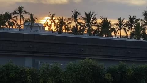 Paradise sunset
