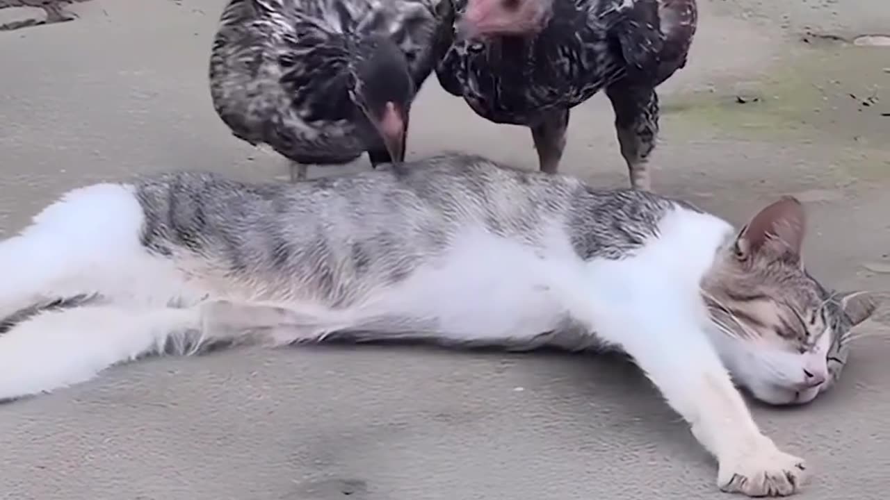 Wake up body