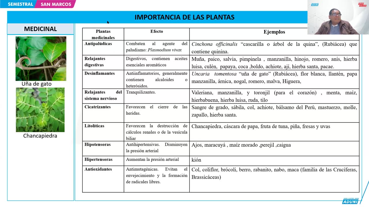 SEMESTRAL ADUNI 2024 | Semana 11 | Biología | Filosofía | RV S1