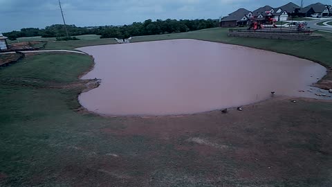 The Pond