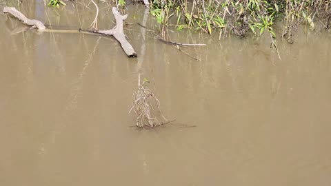 STOP TRASHING YOU HOME