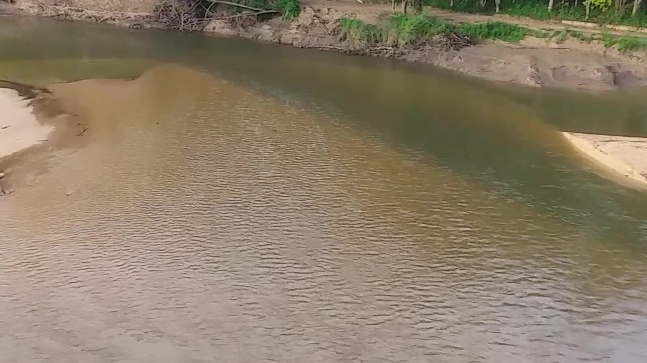 1.6.2024 The Barron River, Kuranda