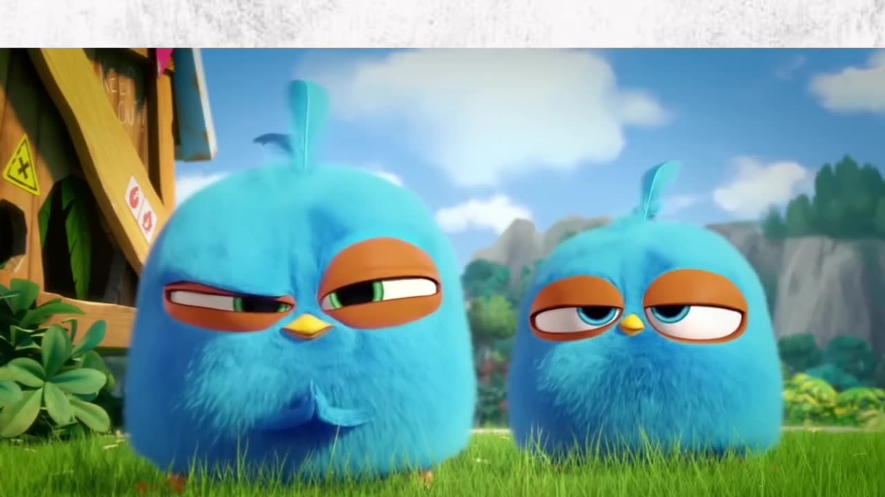 Cartoon angry Bird News trump News