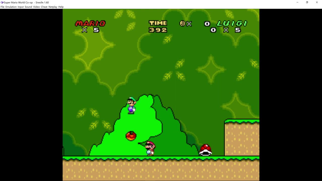 Super Mario World simultaneous Co-op installation