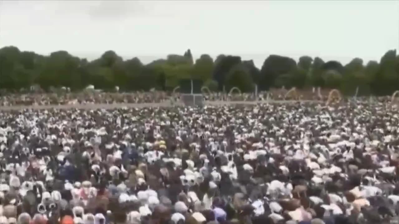 What did the British fight and die for?