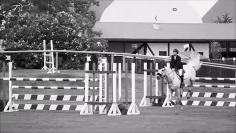 Stereo Love Equestrian Music Video