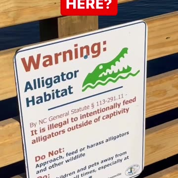 ALLIGATOR HABITAT!