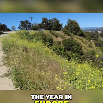 Is European Immigration Doubling? How Conventional Politics Fail the Average European