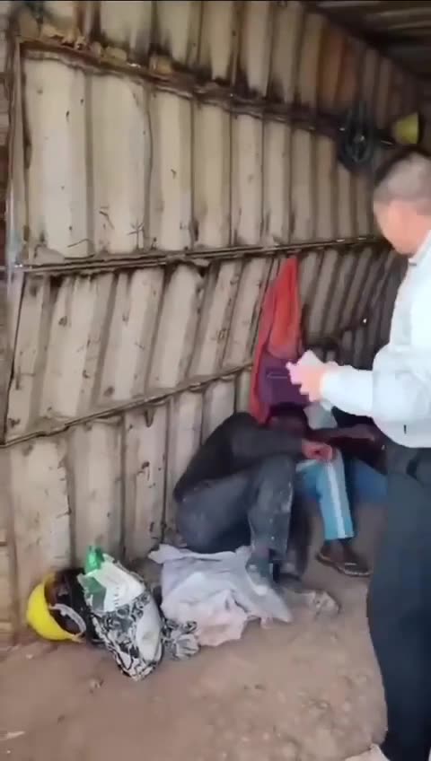 🔤 IMMAGINI TERRIBILI