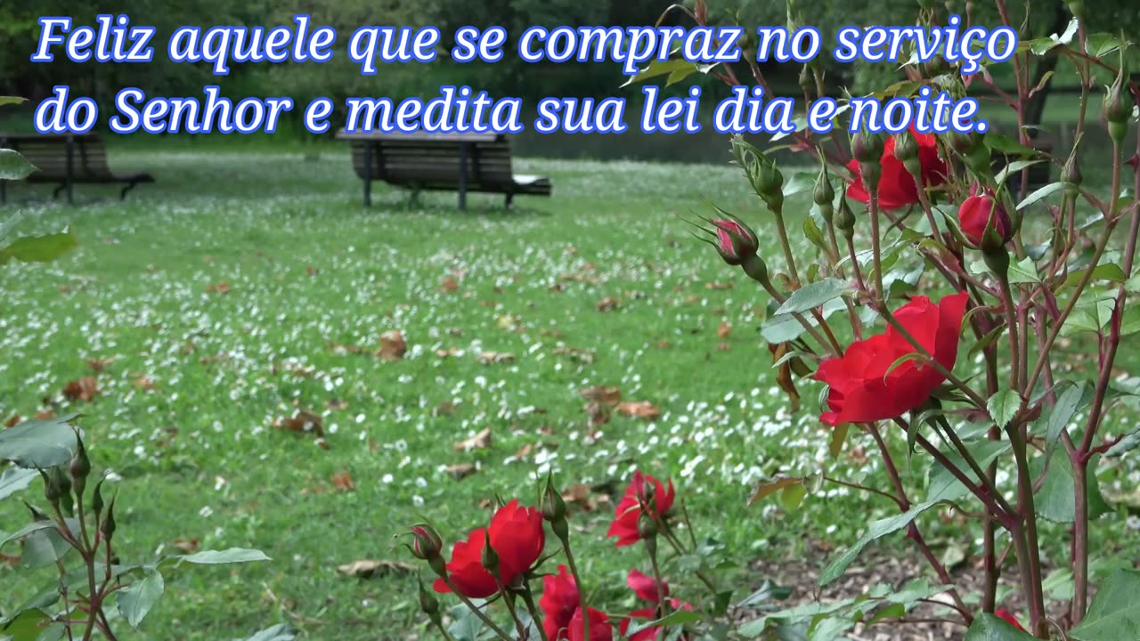 SALMO 1