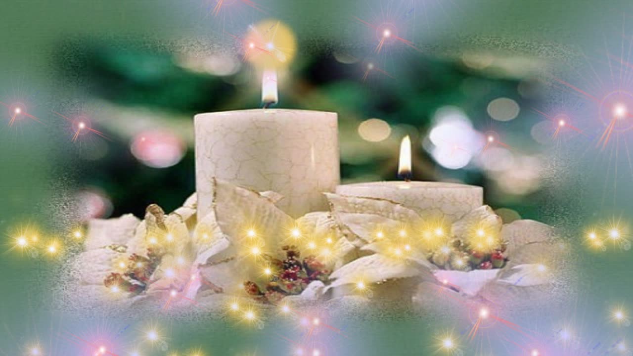 Comfort and Joy] 5039