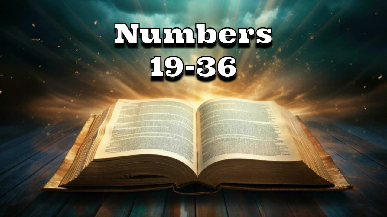 Numbers 19-36