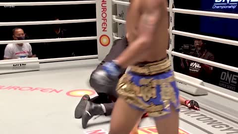 Best mma knockout.