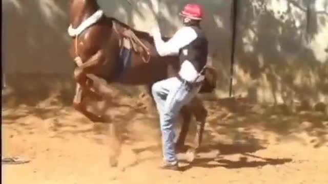 ΚΛΩΤΣΗΣΕ ΤΑΛΟΓΟ ΚΑΙ..............