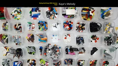 Macro Lego Sort: Bucket 8, episode 4