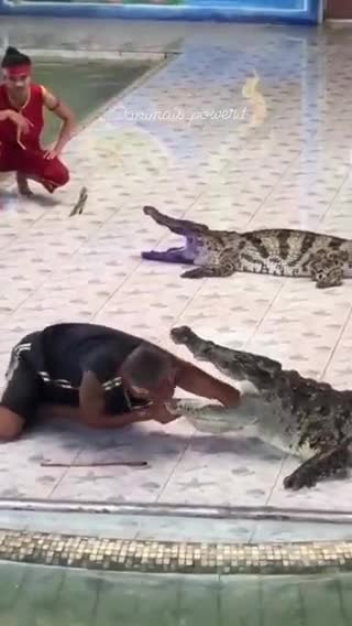 Don't Play with Nature 🔥