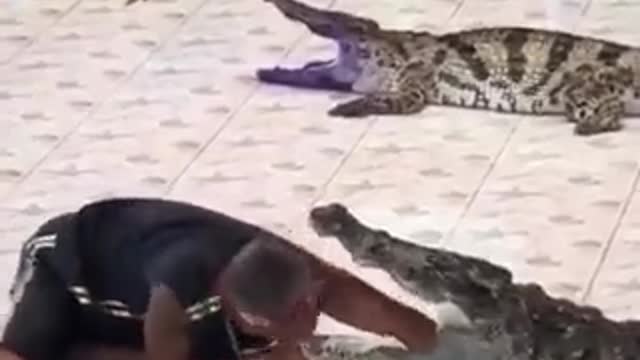 Don't Play with Nature 🔥