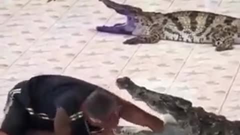 Don't Play with Nature 🔥