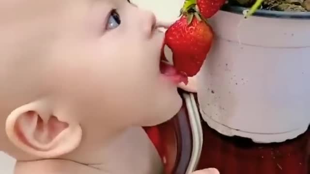 Cute Baby