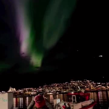 My Collection adventure#5