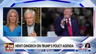 Newt Gingrich: Democrats spent over a billion trying to beat Trump and he is still standing