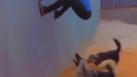 "Man Attacked by Dog funny
