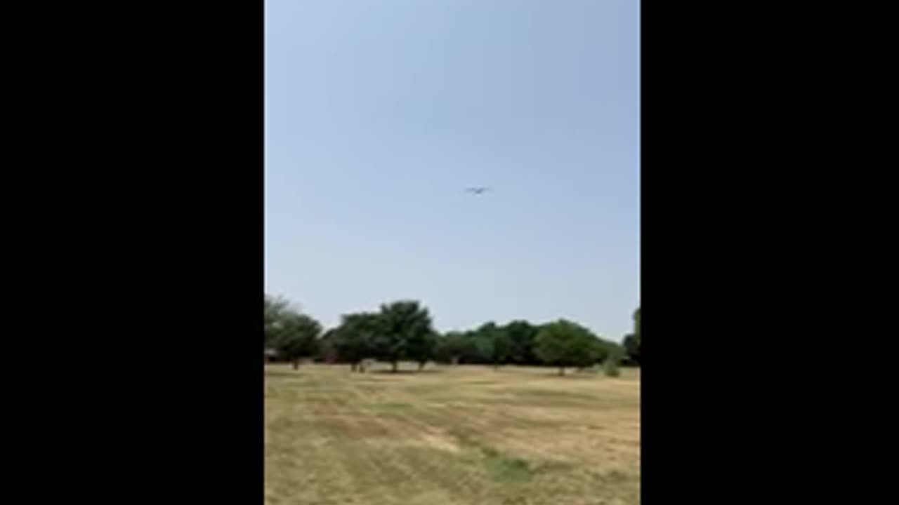 Biyrd attack
