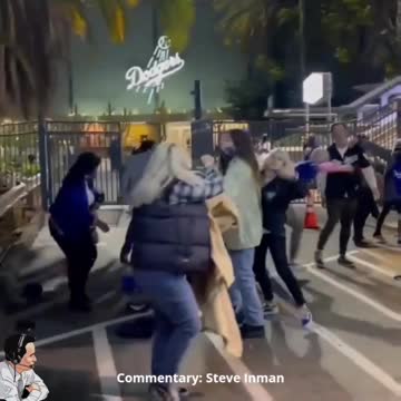 Dodger Fan Fight