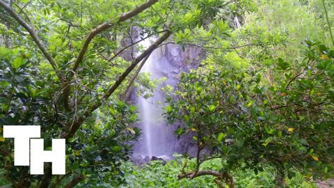 Réunion