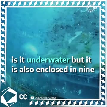 Gardening under water.