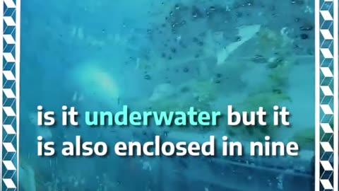 Gardening under water.