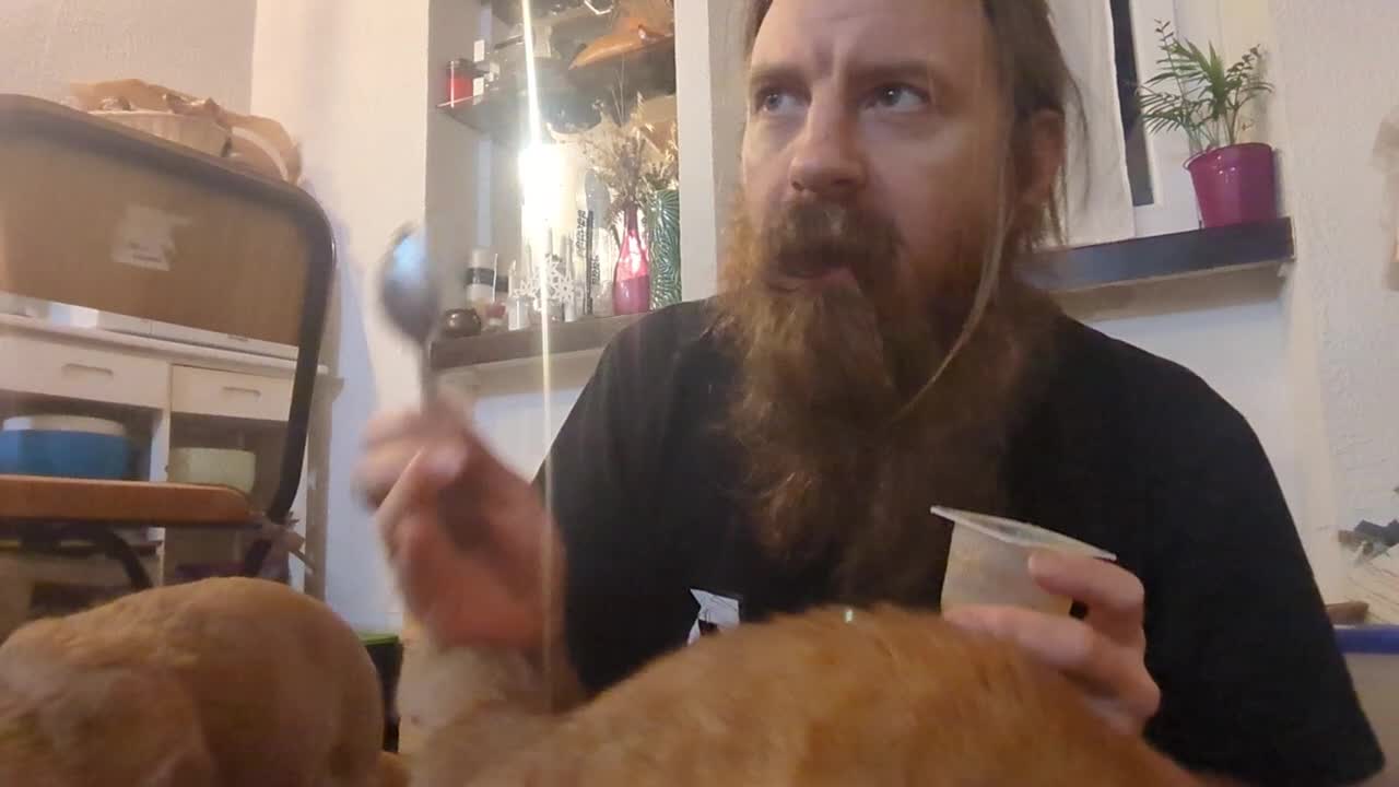 2023-01-30 (1) - ASMR compote de 3 ans d'âge - Twitch Decheterie