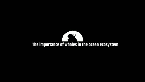 The importance of whales in the ocean ecosystem