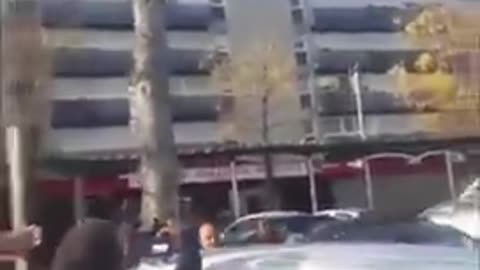 GLITCH IN THE MATRIX Tree popped through the driver's side of car.