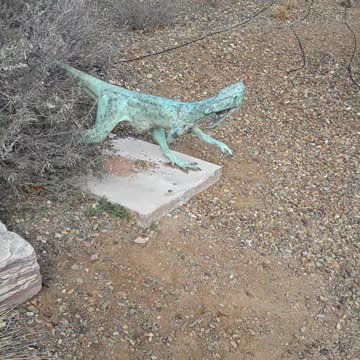 My "Ray pace of touring" through the Petrified Nat'l Forrest in Arizona. WOW