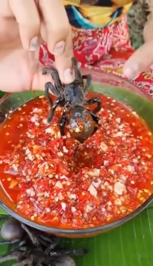 EATING LIVE SPIDERS