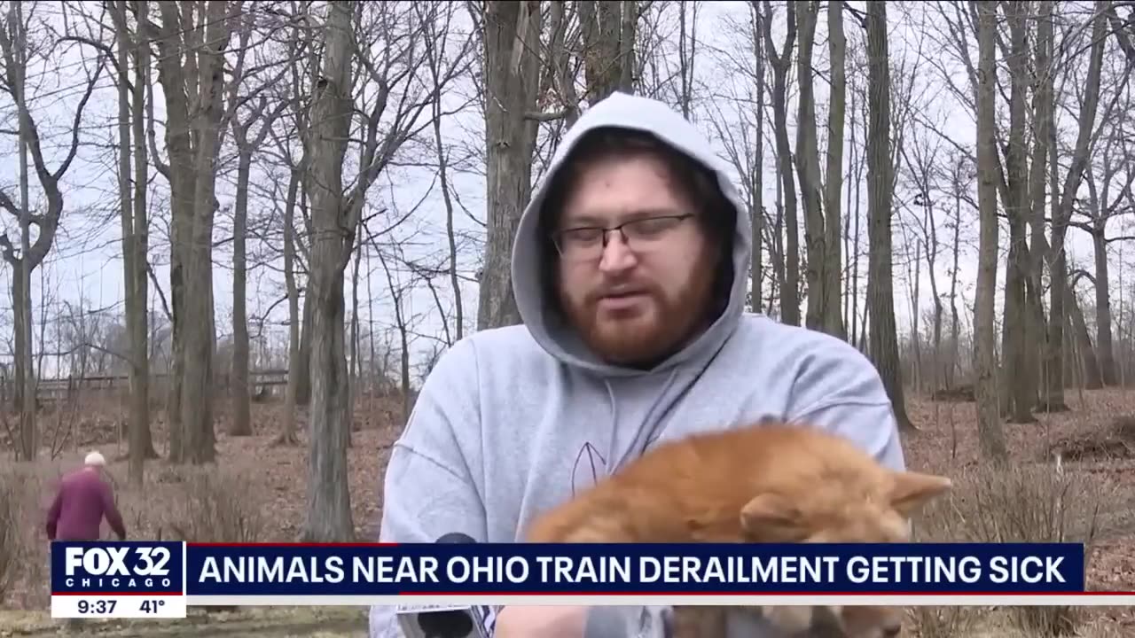 Ohio train derailment: Animals near crash site getting sick