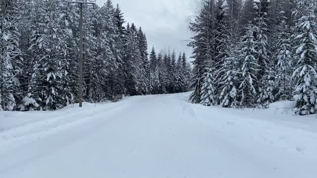 Compilation of Hyundai's Rally Sweden 2022 tests