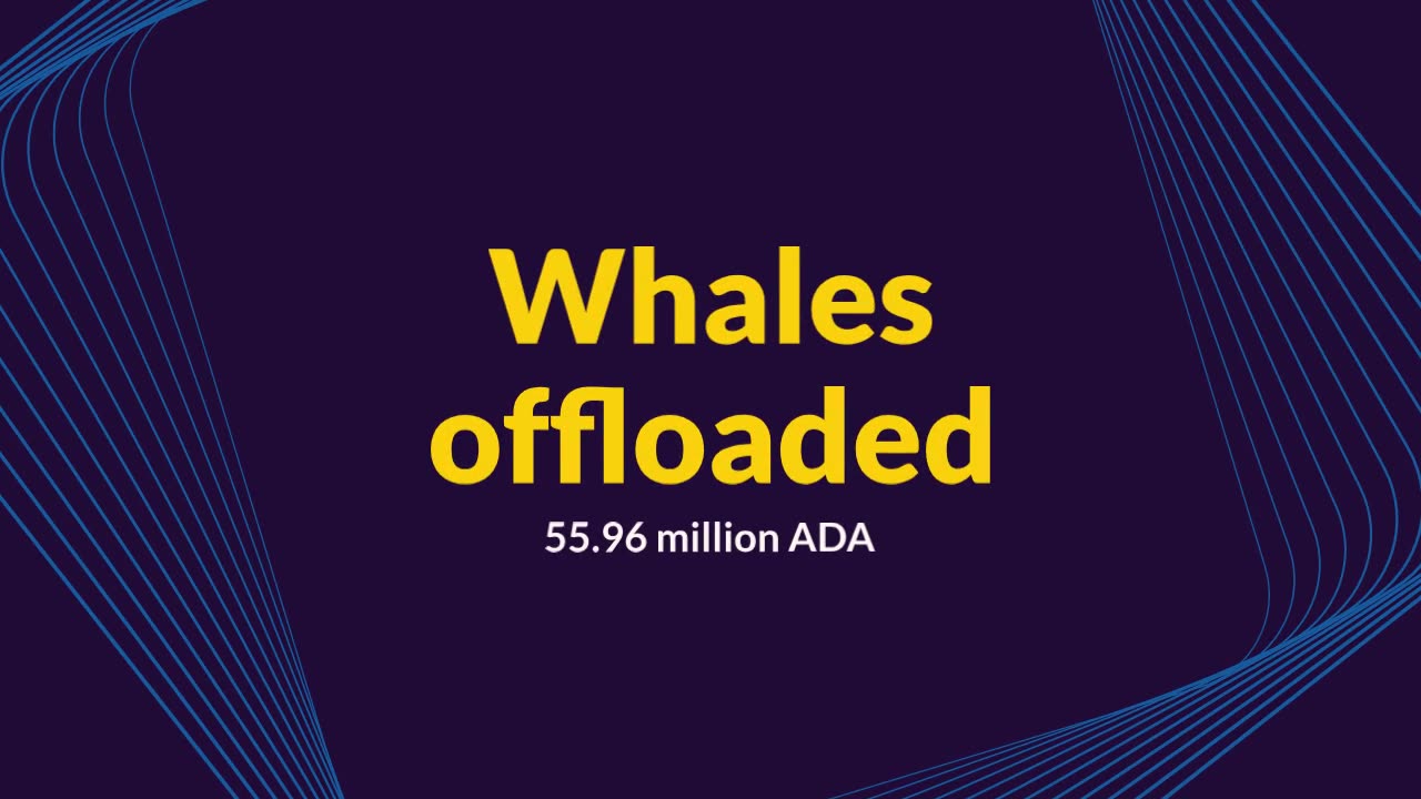 Cardano Whales Shed $69 Million ADA Ahead of This Week’s Token Unlock