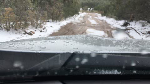 First mud then Snow and ride along.