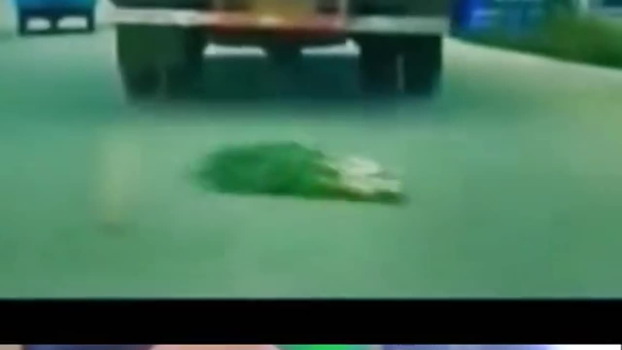 Most Funniest Tiktok Videos In the road