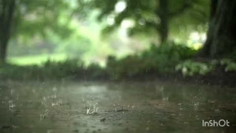 Rain Stock Footage